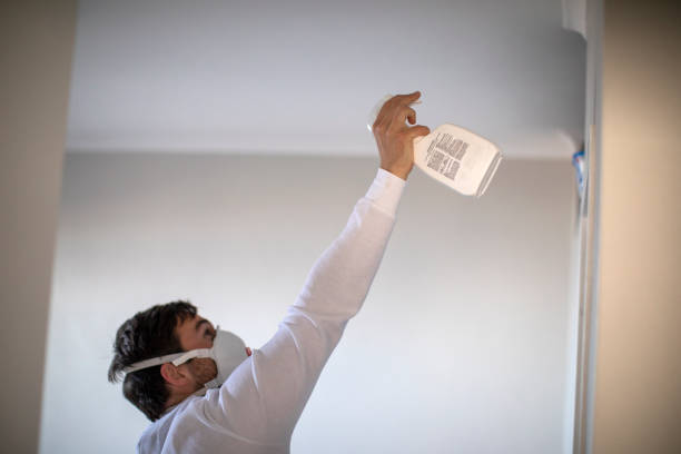 Best Commercial Mold Removal  in Lamoni, IA