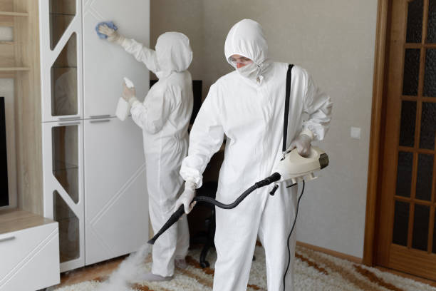 Best Mold Removal Process  in Lamoni, IA