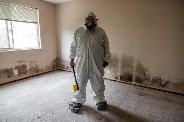 Best Fast Mold Removal  in Lamoni, IA